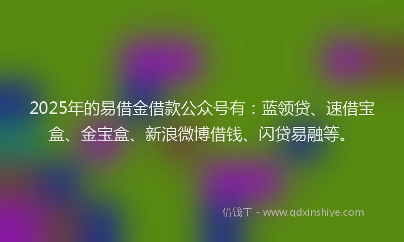 2025年的易借金借款公众号有：蓝领贷、速借宝盒、金宝盒、新浪微博借钱、闪贷易融等。