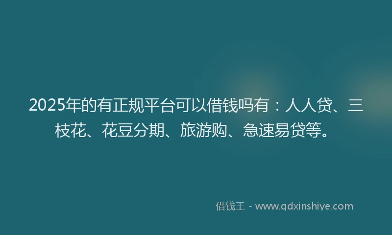 2025年的有正规平台可以借钱吗有：人人贷、三枝花、花豆分期、旅游购、急速易贷等。