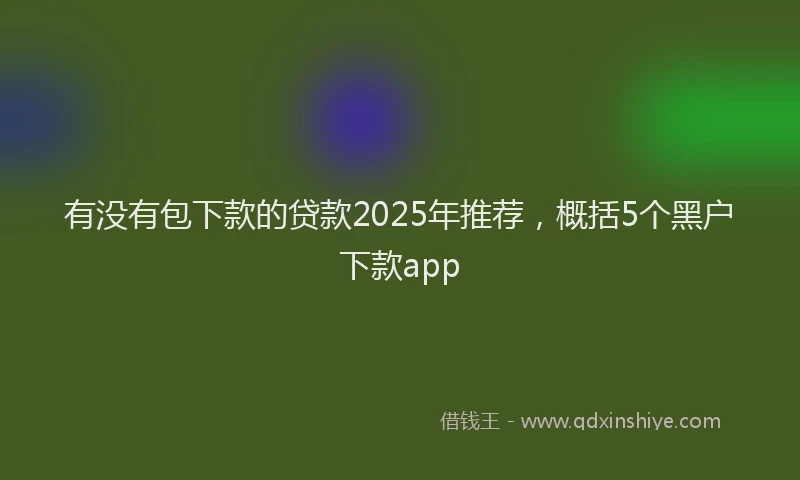 有没有包下款的贷款2025年推荐，概括5个黑户下款app