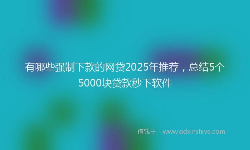 有哪些强制下款的网贷2025年推荐，总结5个5000块贷款秒下软件