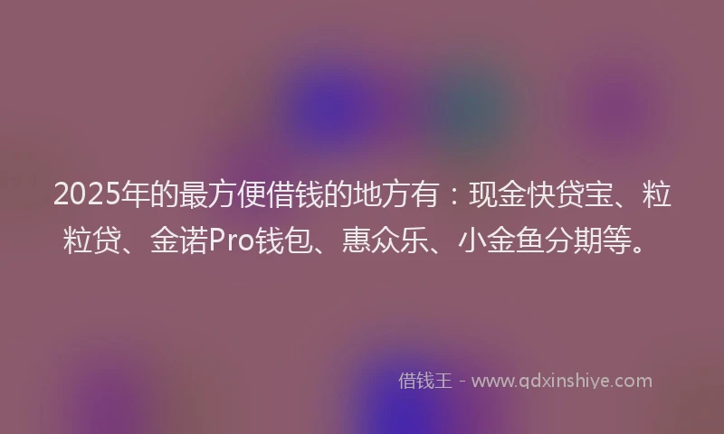 2025年的最方便借钱的地方有：现金快贷宝、粒粒贷、金诺Pro钱包、惠众乐、小金鱼分期等。