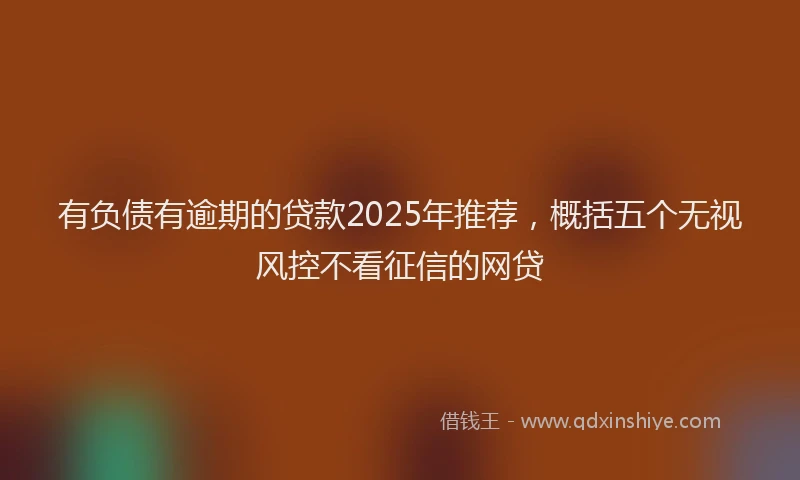 有负债有逾期的贷款2025年推荐，概括五个无视风控不看征信的网贷