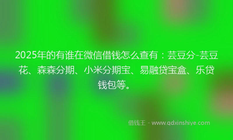 2025年的有谁在微信借钱怎么查有：芸豆分-芸豆花、森森分期、小米分期宝、易融贷宝盒、乐贷钱包等。