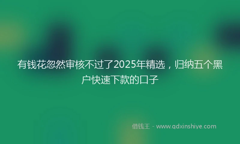 有钱花忽然审核不过了2025年精选，归纳五个黑户快速下款的口子