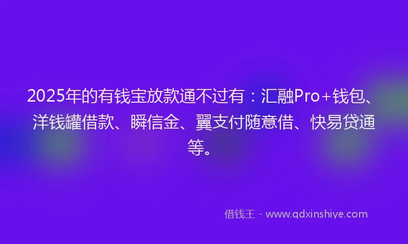 2025年的有钱宝放款通不过有：汇融Pro+钱包、洋钱罐借款、瞬信金、翼支付随意借、快易贷通等。