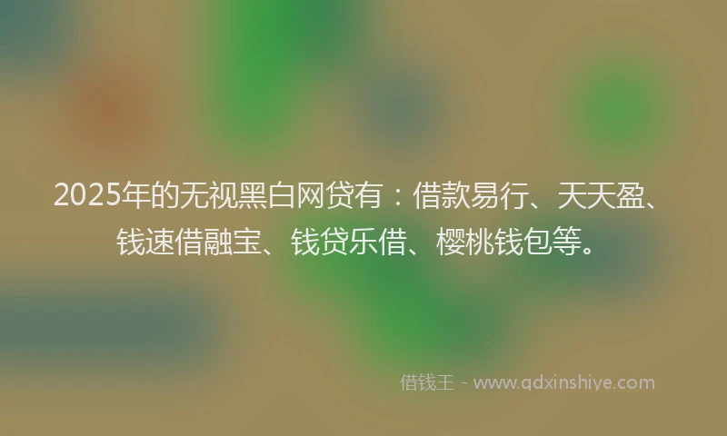 2025年的无视黑白网贷有：借款易行、天天盈、钱速借融宝、钱贷乐借、樱桃钱包等。