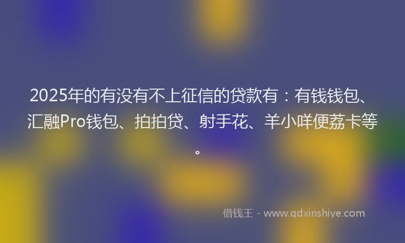 2025年的有没有不上征信的贷款有：有钱钱包、汇融Pro钱包、拍拍贷、射手花、羊小咩便荔卡等。