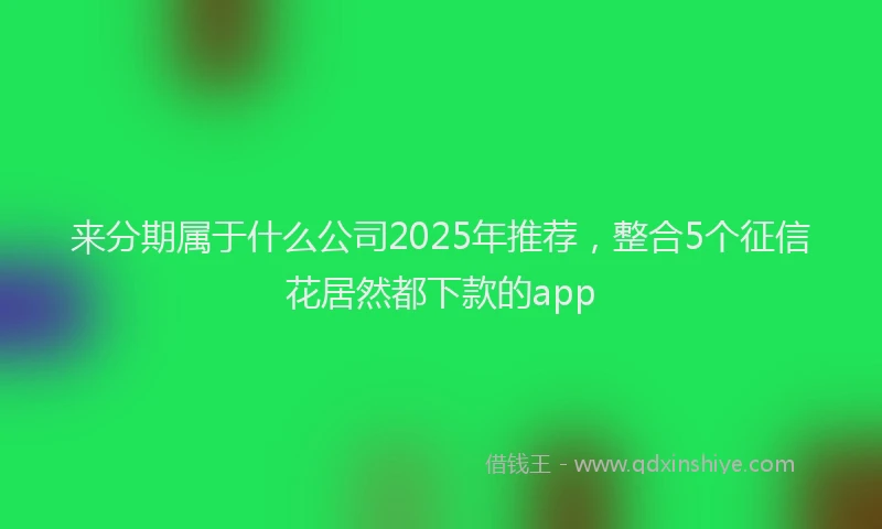 来分期属于什么公司2025年推荐，整合5个征信花居然都下款的app