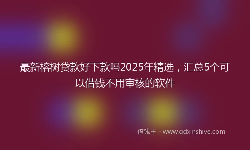 最新榕树贷款好下款吗2025年精选，汇总5个可以借钱不用审核的软件