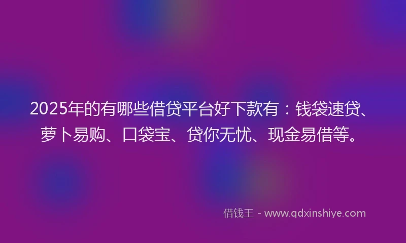 2025年的有哪些借贷平台好下款有：钱袋速贷、萝卜易购、口袋宝、贷你无忧、现金易借等。