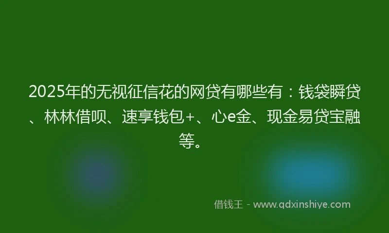 2025年的无视征信花的网贷有哪些有：钱袋瞬贷、林林借呗、速享钱包+、心e金、现金易贷宝融等。