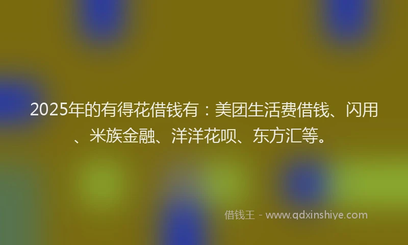 2025年的有得花借钱有：美团生活费借钱、闪用、米族金融、洋洋花呗、东方汇等。