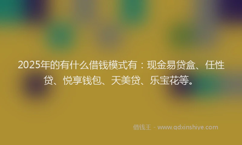 2025年的有什么借钱模式有：现金易贷盒、任性贷、悦享钱包、天美贷、乐宝花等。