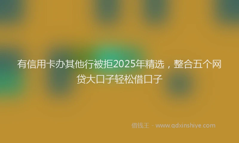 有信用卡办其他行被拒2025年精选，整合五个网贷大口子轻松借口子