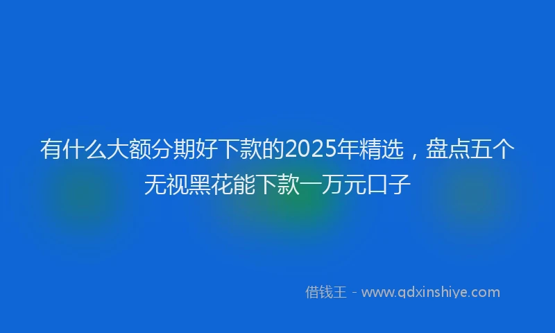 有什么大额分期好下款的2025年精选，盘点五个无视黑花能下款一万元口子