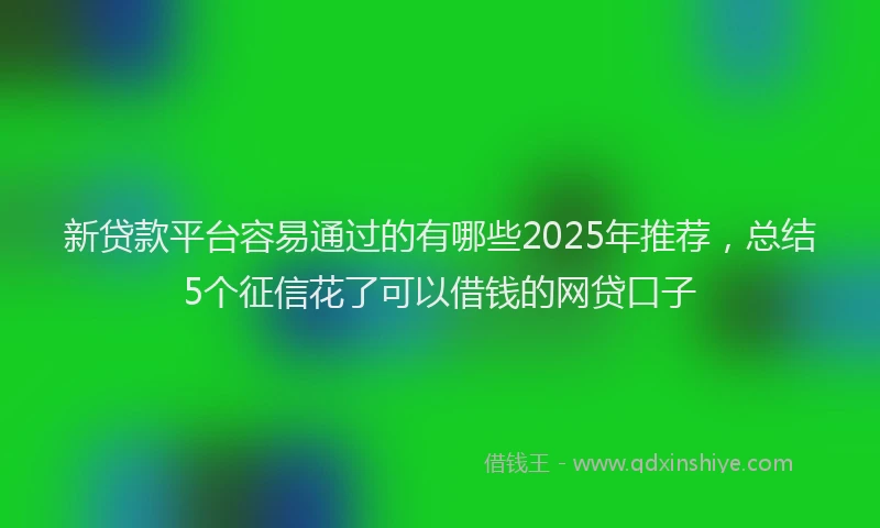 新贷款平台容易通过的有哪些2025年推荐，总结5个征信花了可以借钱的网贷口子
