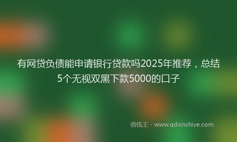 有网贷负债能申请银行贷款吗2025年推荐，总结5个无视双黑下款5000的口子