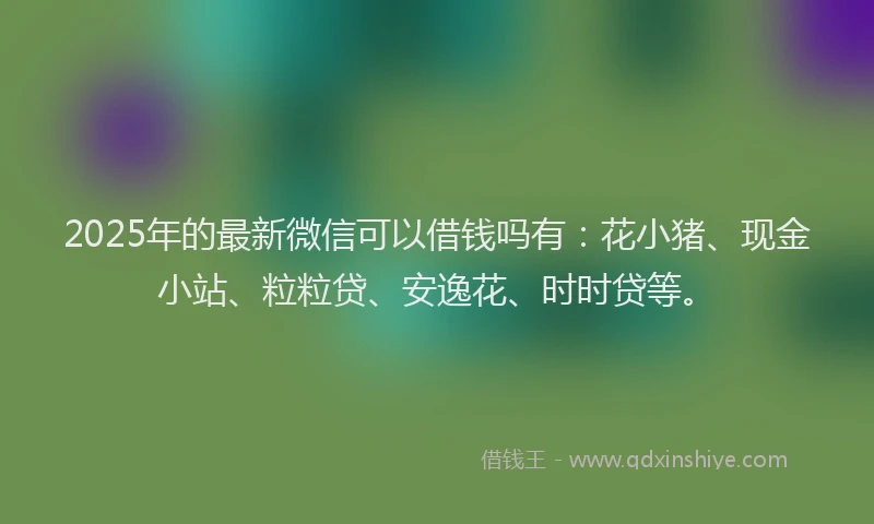 2025年的最新微信可以借钱吗有：花小猪、现金小站、粒粒贷、安逸花、时时贷等。