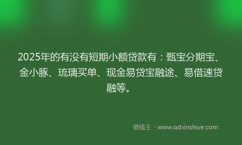 2025年的有没有短期小额贷款有：甄宝分期宝、金小豚、琉璃买单、现金易贷宝融途、易借速贷融等。