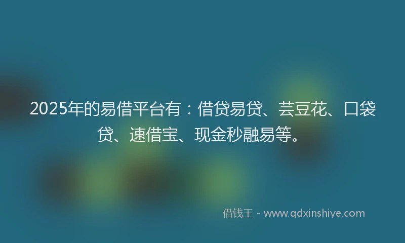 2025年的易借平台有：借贷易贷、芸豆花、口袋贷、速借宝、现金秒融易等。