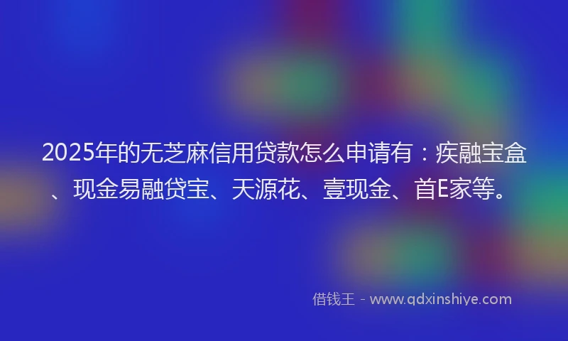 2025年的无芝麻信用贷款怎么申请有：疾融宝盒、现金易融贷宝、天源花、壹现金、首E家等。