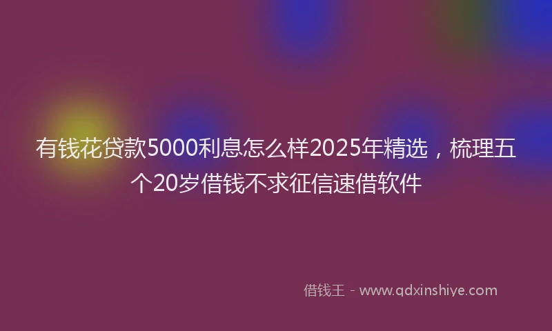 有钱花贷款5000利息怎么样2025年精选，梳理五个20岁借钱不求征信速借软件