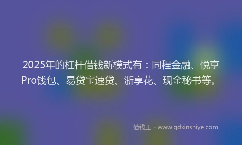 2025年的杠杆借钱新模式有：同程金融、悦享Pro钱包、易贷宝速贷、浙享花、现金秘书等。