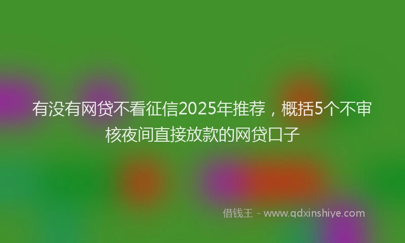 有没有网贷不看征信2025年推荐，概括5个不审核夜间直接放款的网贷口子