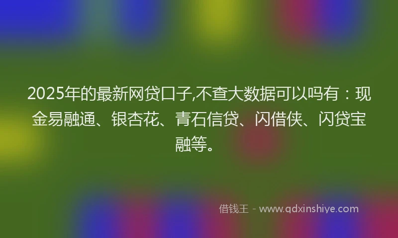 2025年的最新网贷口子,不查大数据可以吗有：现金易融通、银杏花、青石信贷、闪借侠、闪贷宝融等。
