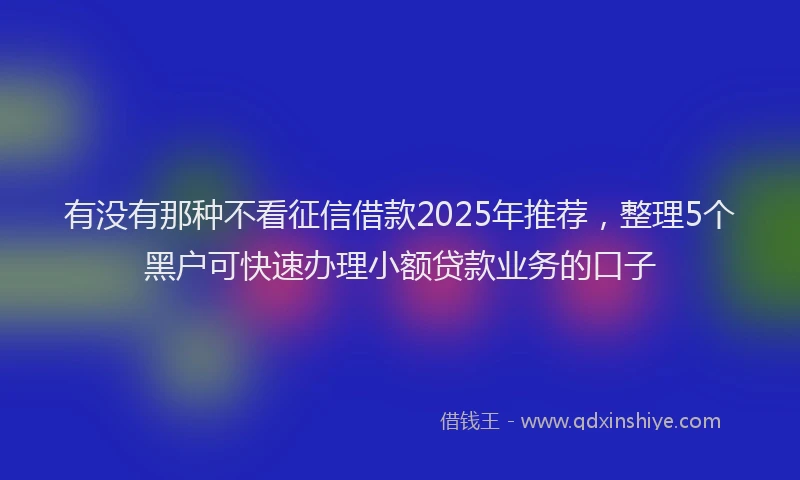 有没有那种不看征信借款2025年推荐，整理5个黑户可快速办理小额贷款业务的口子