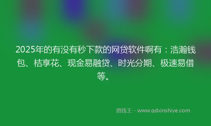 2025年的有没有秒下款的网贷软件啊有：浩瀚钱包、桔享花、现金易融贷、时光分期、极速易借等。