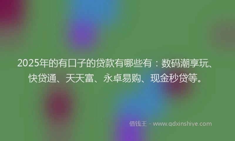 2025年的有口子的贷款有哪些有：数码潮享玩、快贷通、天天富、永卓易购、现金秒贷等。