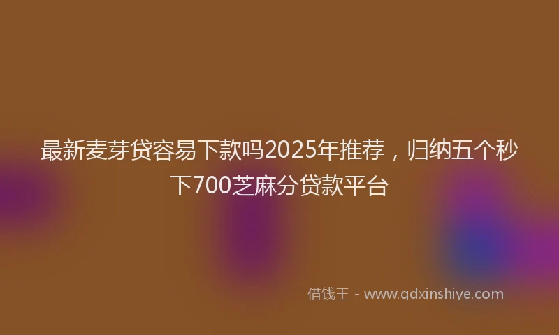 最新麦芽贷容易下款吗2025年推荐，归纳五个秒下700芝麻分贷款平台