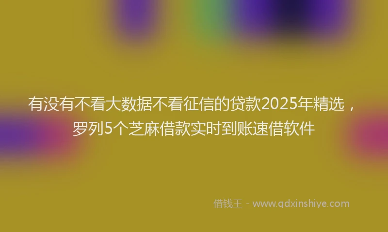 有没有不看大数据不看征信的贷款2025年精选，罗列5个芝麻借款实时到账速借软件