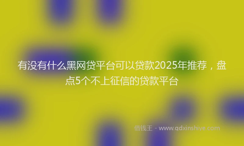 有没有什么黑网贷平台可以贷款2025年推荐，盘点5个不上征信的贷款平台