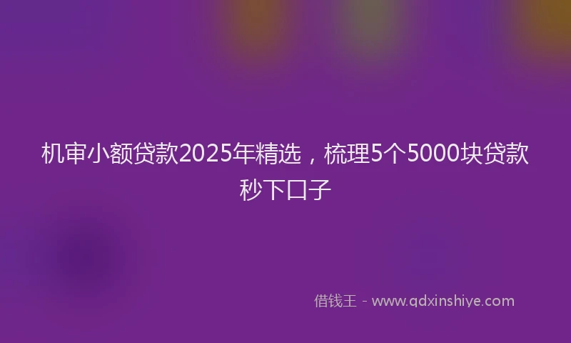 机审小额贷款2025年精选，梳理5个5000块贷款秒下口子