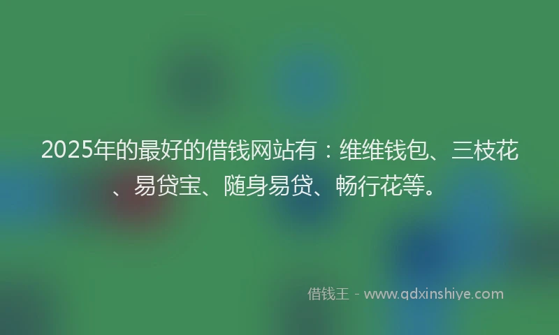 2025年的最好的借钱网站有：维维钱包、三枝花、易贷宝、随身易贷、畅行花等。