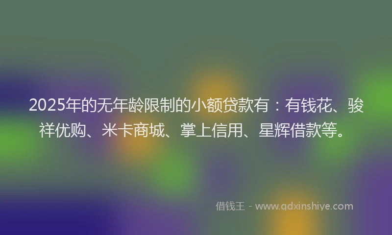 2025年的无年龄限制的小额贷款有：有钱花、骏祥优购、米卡商城、掌上信用、星辉借款等。