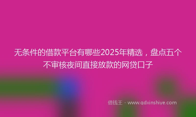 无条件的借款平台有哪些2025年精选，盘点五个不审核夜间直接放款的网贷口子