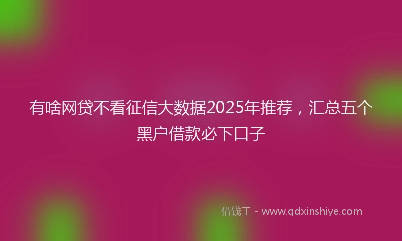 有啥网贷不看征信大数据2025年推荐，汇总五个黑户借款必下口子