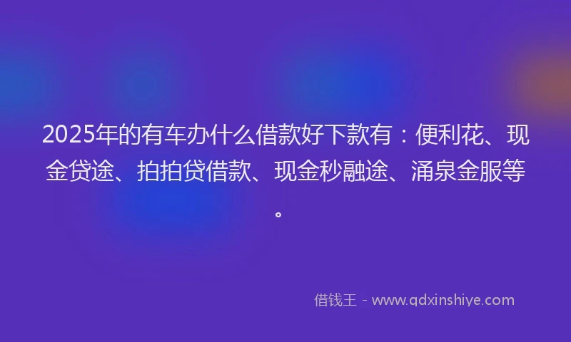 2025年的有车办什么借款好下款有：便利花、现金贷途、拍拍贷借款、现金秒融途、涌泉金服等。