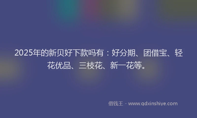 2025年的新贝好下款吗有：好分期、团借宝、轻花优品、三枝花、新一花等。