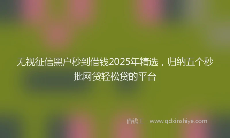 无视征信黑户秒到借钱2025年精选，归纳五个秒批网贷轻松贷的平台