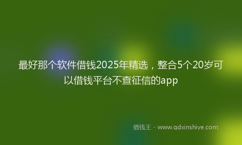 最好那个软件借钱2025年精选，整合5个20岁可以借钱平台不查征信的app