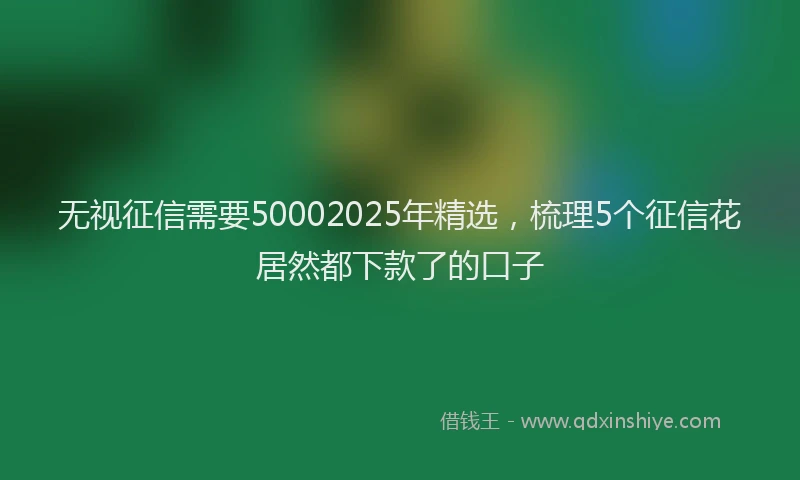 无视征信需要50002025年精选，梳理5个征信花居然都下款了的口子