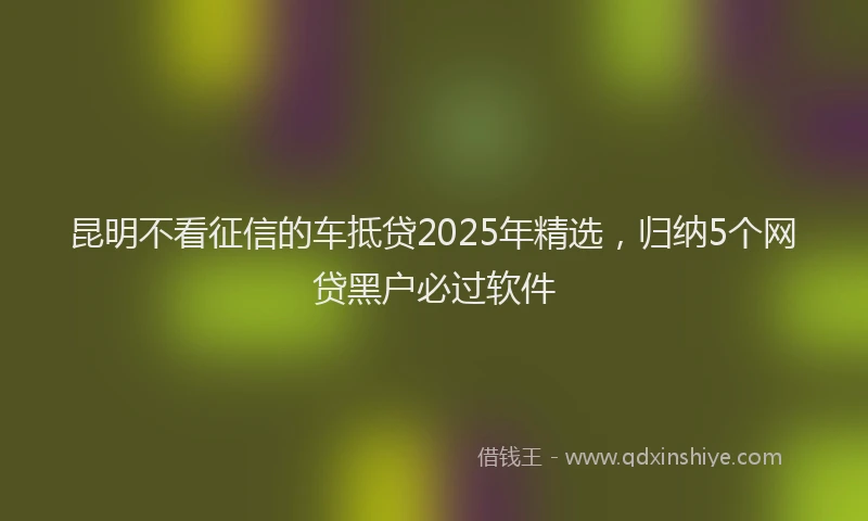 昆明不看征信的车抵贷2025年精选，归纳5个网贷黑户必过软件
