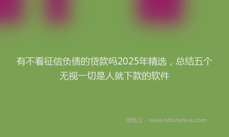有不看征信负债的贷款吗2025年精选，总结五个无视一切是人就下款的软件