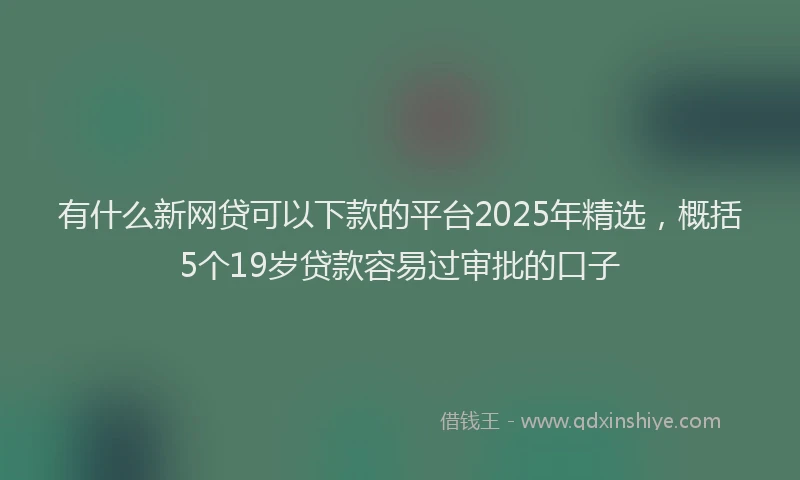 有什么新网贷可以下款的平台2025年精选，概括5个19岁贷款容易过审批的口子