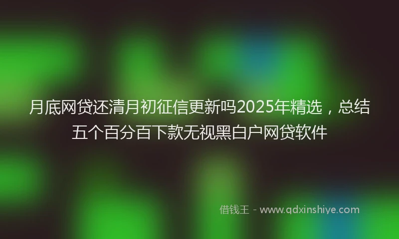 月底网贷还清月初征信更新吗2025年精选，总结五个百分百下款无视黑白户网贷软件