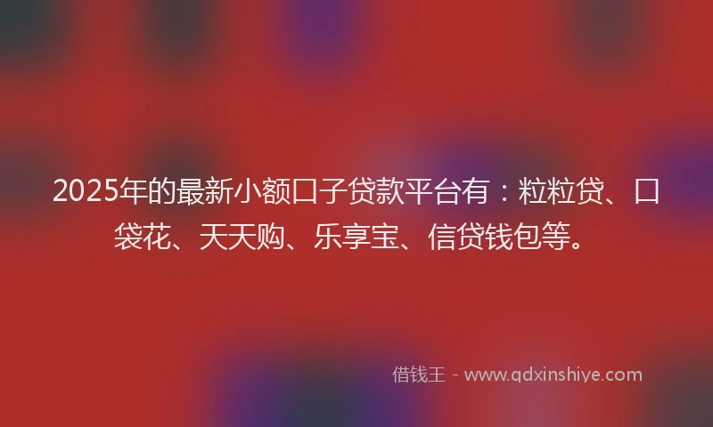 2025年的最新小额口子贷款平台有：粒粒贷、口袋花、天天购、乐享宝、信贷钱包等。